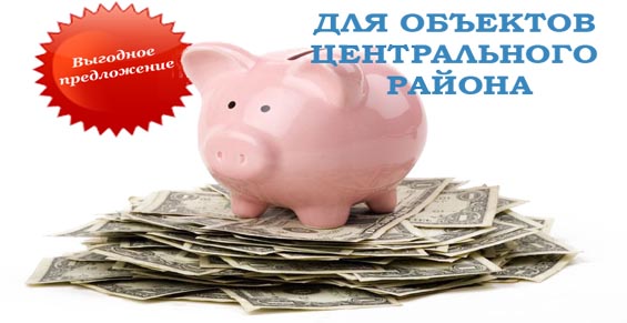 Piggy_on_Money 2